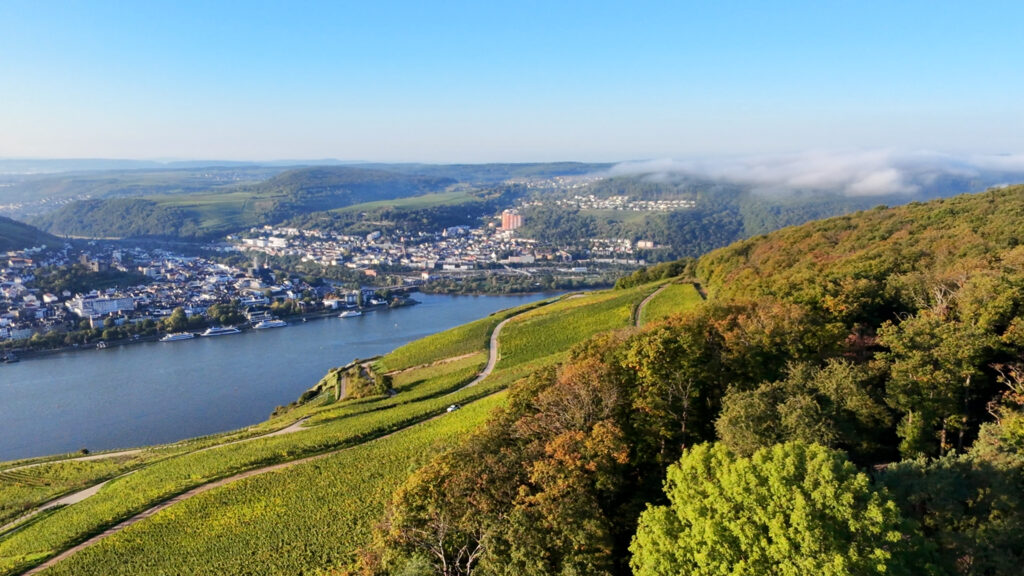 Rüdesheim von oben Scenic Piano