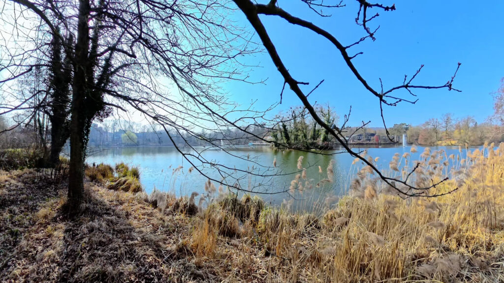 To Be Sun Scenic Piano